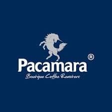 Pacamara (1).jpg