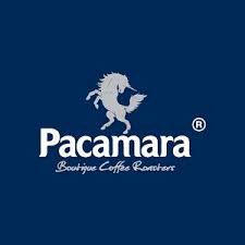 Pacamara (2).jpg